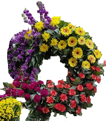 Corona Paleta de colores